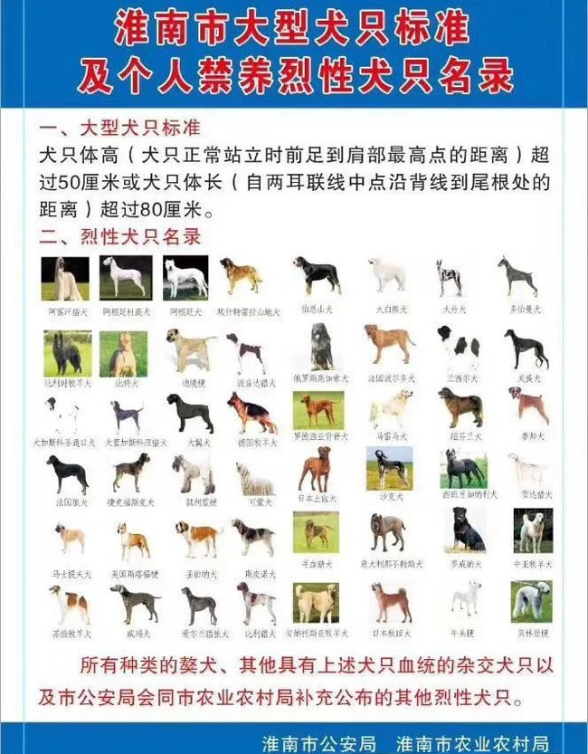 淮南养犬证 安徽淮南市养犬证怎么办理