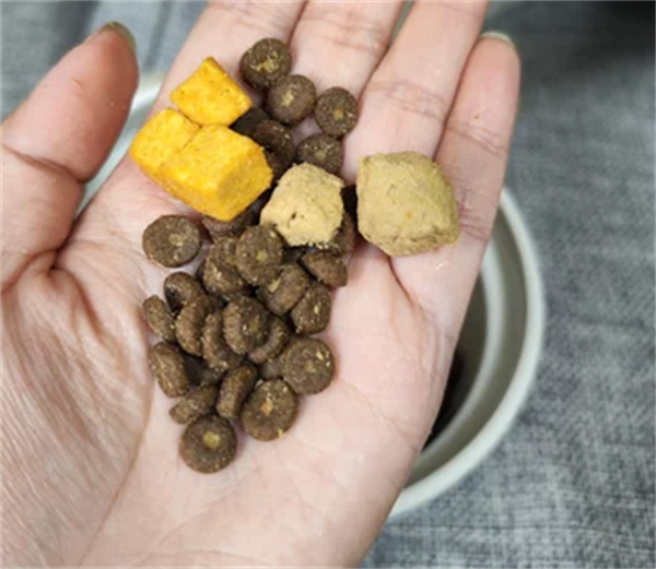 进口狗粮测评 进口狗粮测评