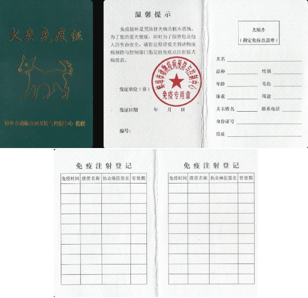 蚌埠市办狗证需要什么手续