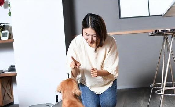 狗狗咬鞋你还笑？5个错误管教法，毁了信任