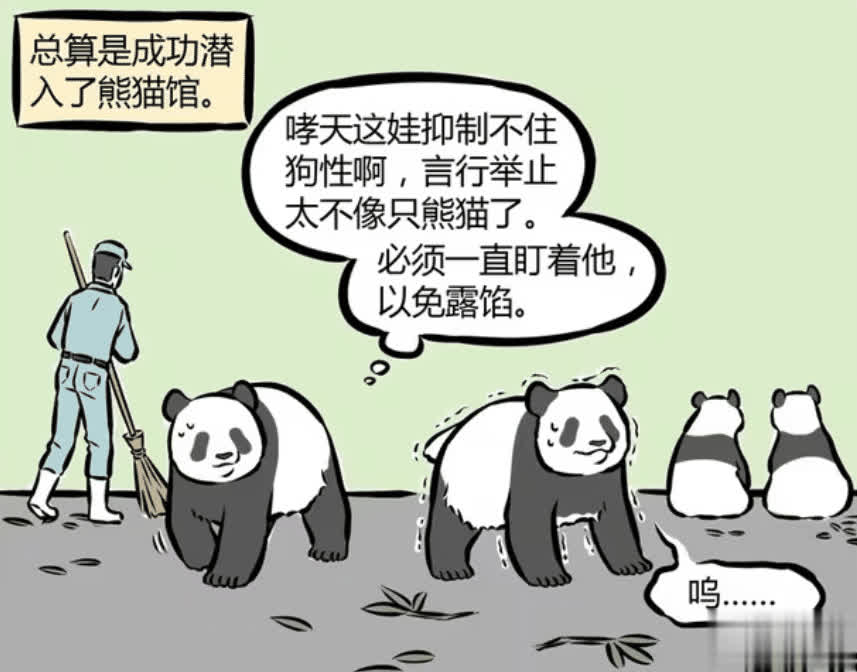 非人哉：十一月和哮天潜入熊猫馆，露馅后变不回原形