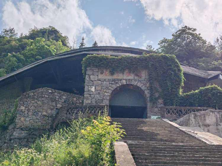 龙骨坡遗址最新发现！一枚小熊猫牙齿，距今200多万年
