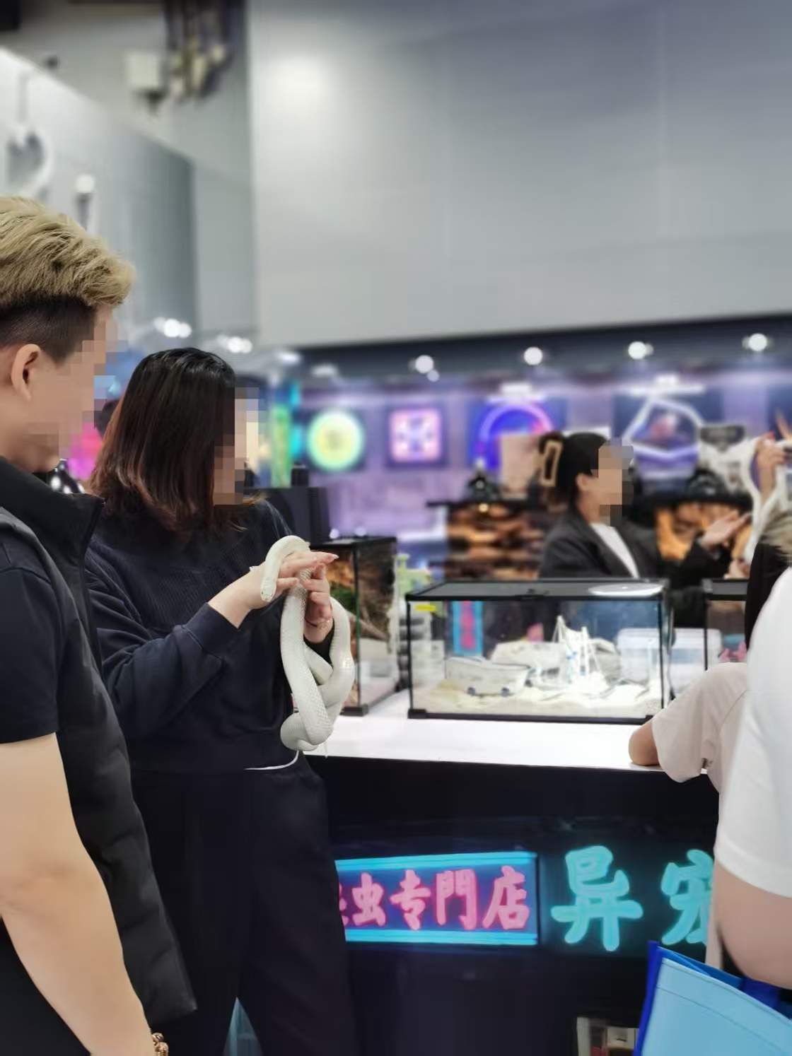 年轻人迷上“冷血萌物”，情绪价值撬动百亿新赛道