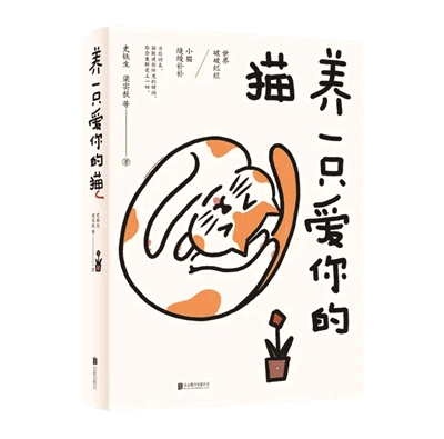 世界破破烂烂，小猫缝缝补补